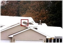Dark Area On Roof Is A Damaging Hot Spot ~ Click for a larger image