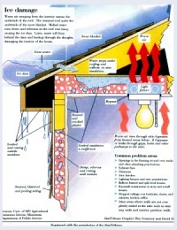 Fact Sheet On Ice Damage ~ Click for a larger image