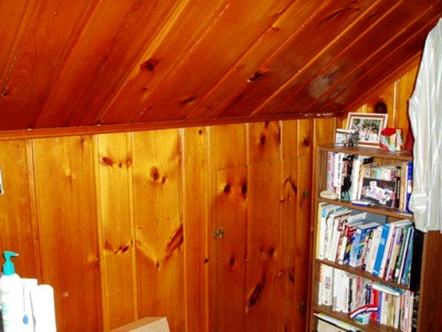 Knotty Pine Interior Before